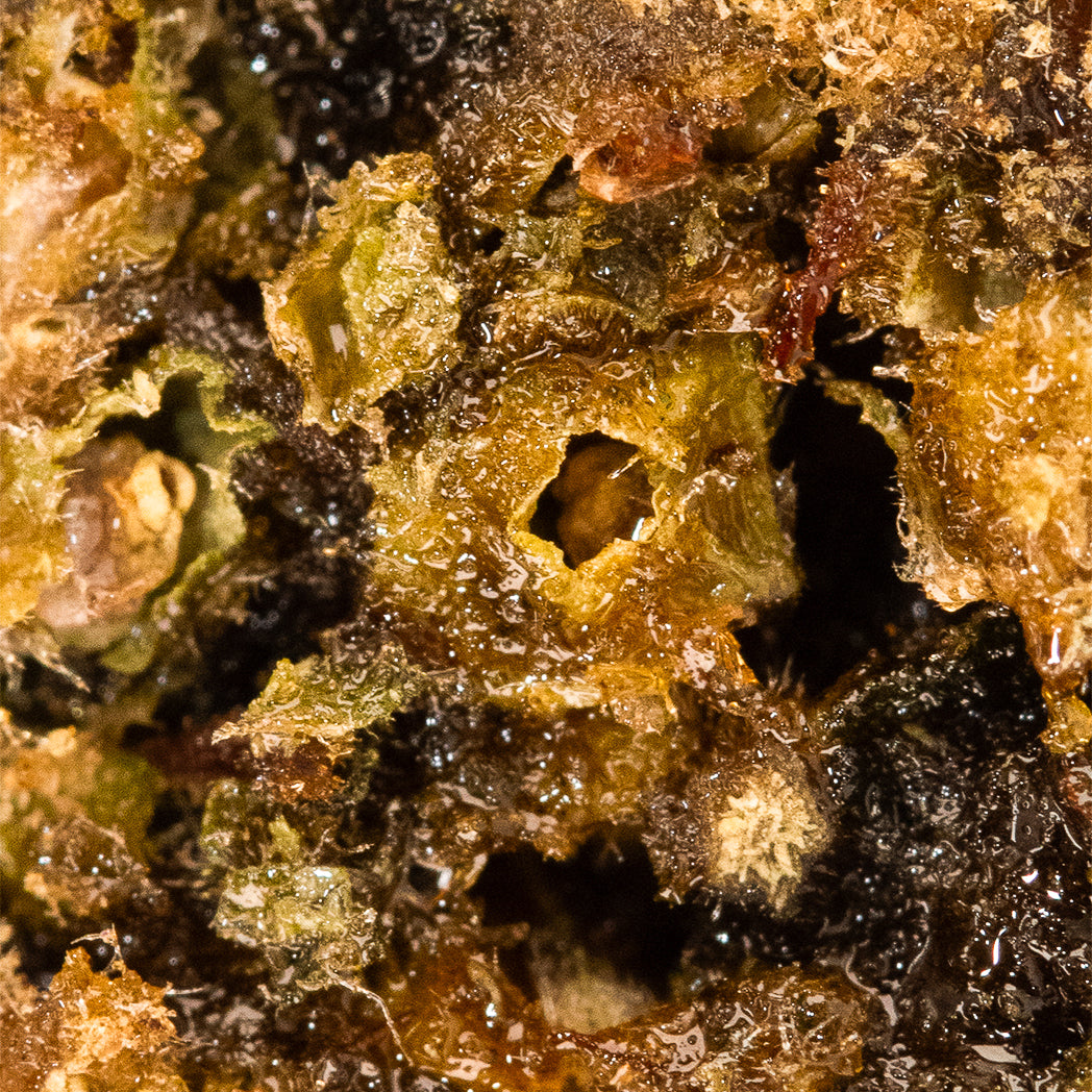 Spliff - Moon Rock - 80% CBN CBD - Moon_rock_macro-2