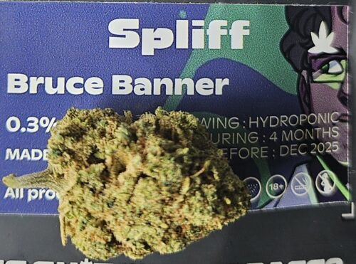 Bruce Banner photo review