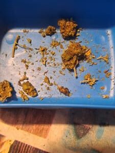 Klantbeoordeling Minibud Premium Superskunk met foto - Spliff