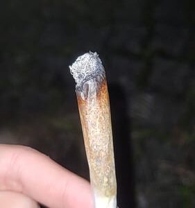 Klantbeoordeling Purple Haze met foto - Spliff