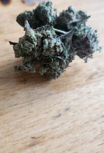 Klantbeoordeling Minibud Premium Superskunk met foto - Spliff
