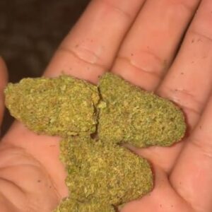Klantbeoordeling Gelato met foto - Spliff