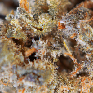 Macro Cheese