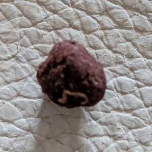 Klantbeoordeling Libanais Rouge met foto - Spliff