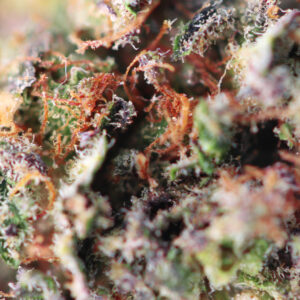 Dutch Grandma – CBD-bloem van Spliff, foto 2