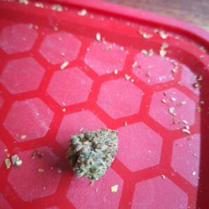 Klantbeoordeling Gelato 33 met foto - Spliff