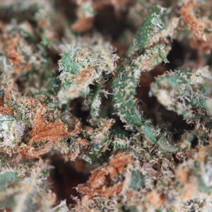 Blueberry – CBD-bloem van Spliff, close-up