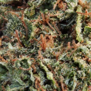 Girls scout cookies cbd focus