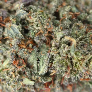 Macro OG Kush THCX Spliff