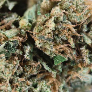 Macro Dark Saphir CBD
