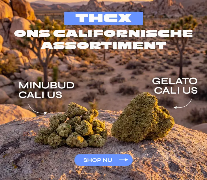 Cali THCX Spliff