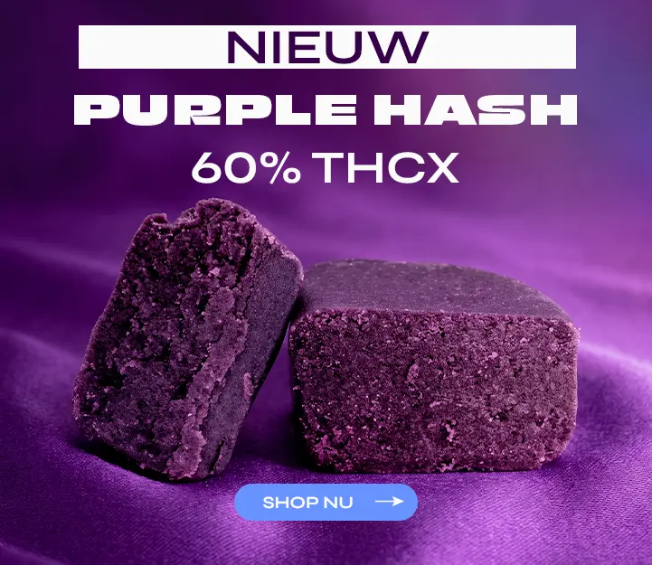 Purple Hash THCX Spliff