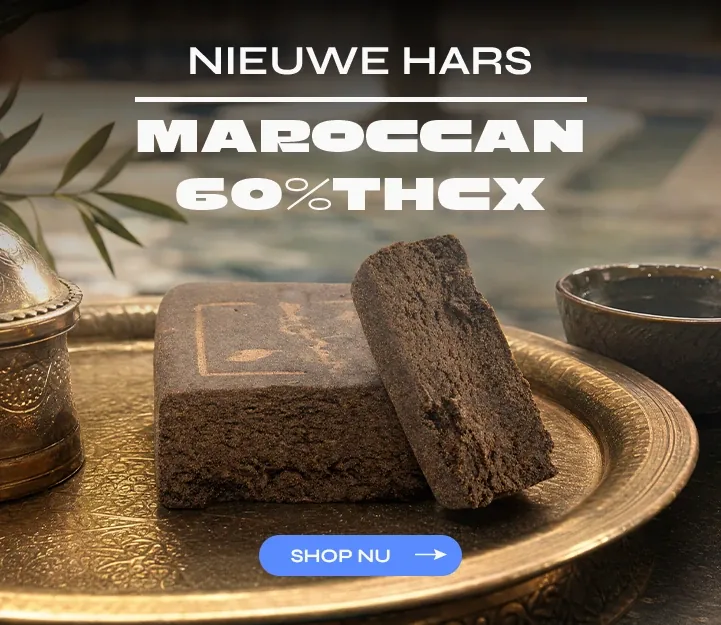 Maroccan THCX Spliff