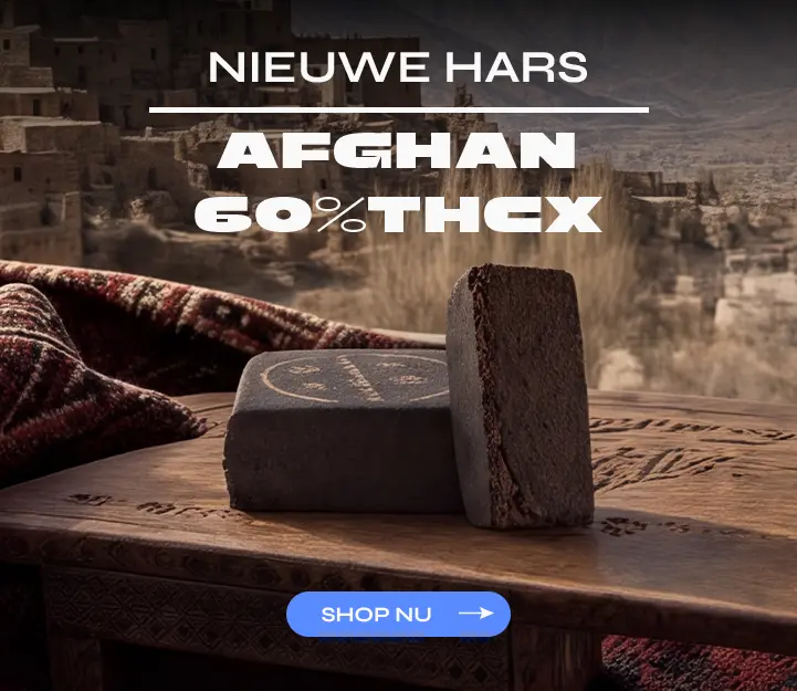 Afghan THCX Spliff