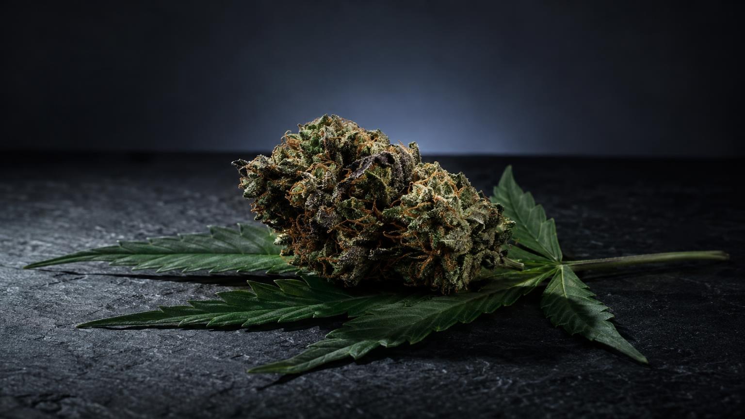 Gedroogde cannabisbloem met kristallijne structuur naast groene bladeren, black crystalline variant