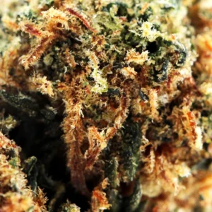 Blueberry Muffin THCX 60% – macro van trichomen en stampers