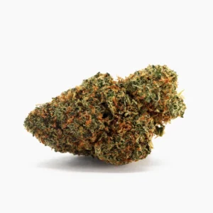 Blueberry Muffin CBD – compacte CBD-bloem met trichomen en oranje stampers