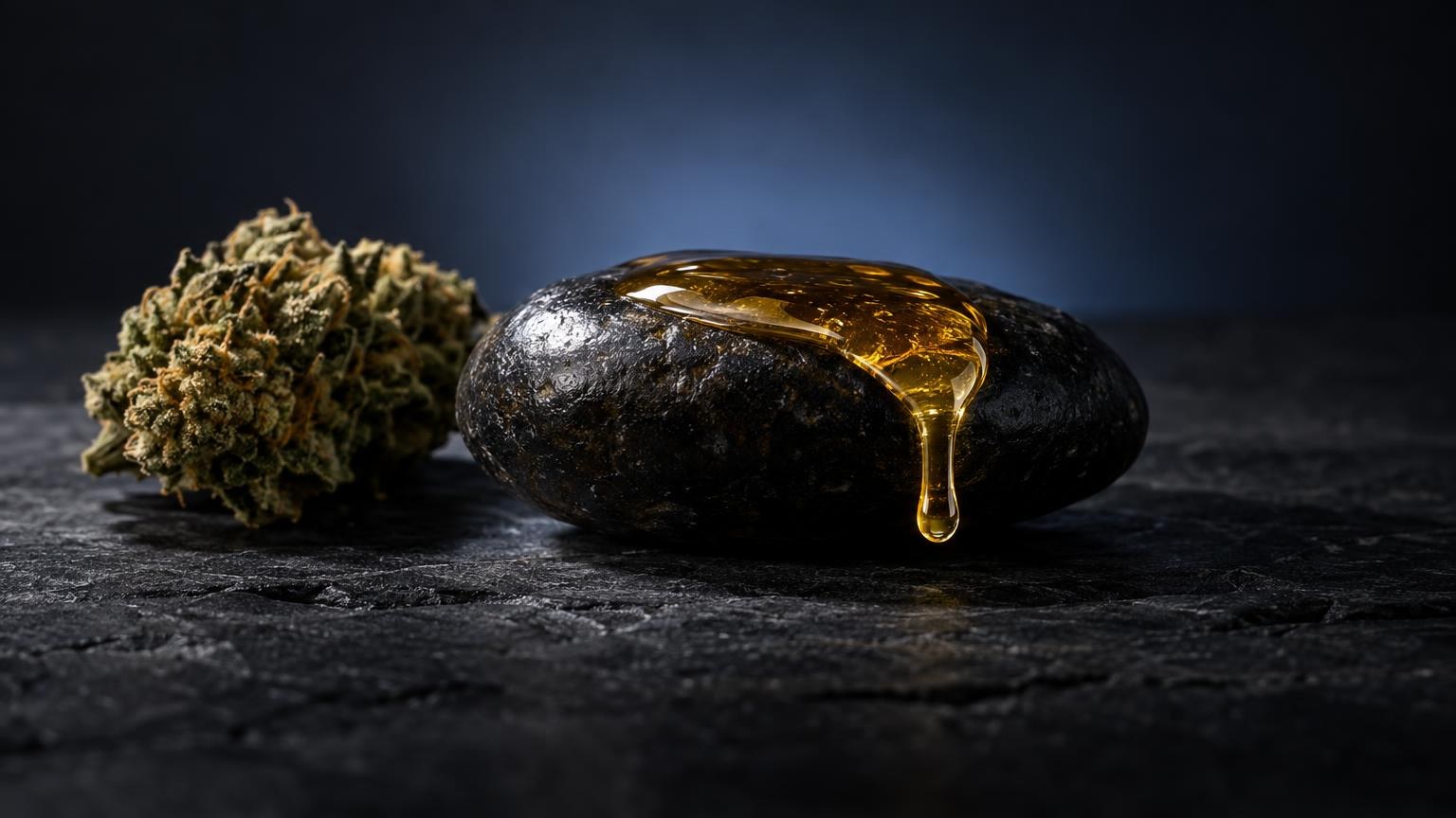 Druppel goudkleurige vloeistof op zwart ei naast gedroogde cannabisknop, symboliseert concentraat en plant