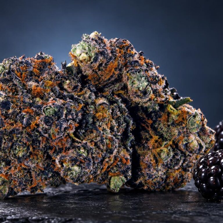 CBD bloemen: purple Haze met kristallijne structuur en paarse tinten naast donkere bramen, onderwerp van CBD-productgids