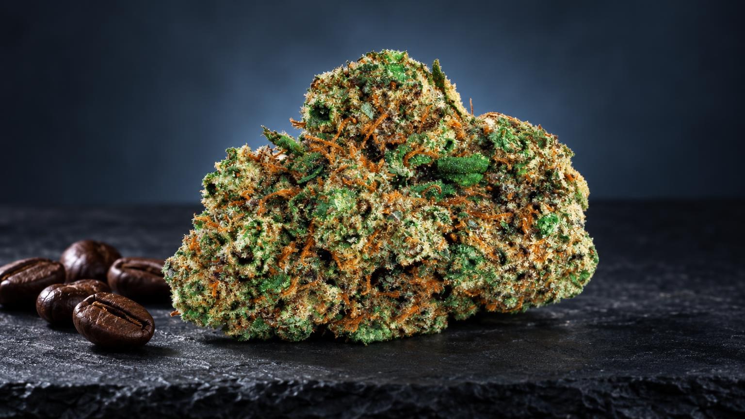 Cheese: groene en bruine cannabisknop met dichte kristalstructuur, naast koffiebonen, tegen donkere achtergrond