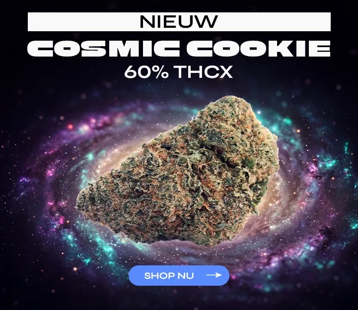 Cosmic Cookie THCX Spliff