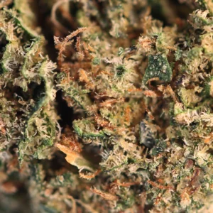 Cosmic Cookie CBD – macro van trichomen en stampers
