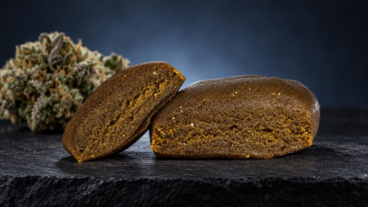 Hasj kopen belgië: piatella hash: twee bruine blokken met korrelstructuur naast cannabisknopjes op donker oppervlak