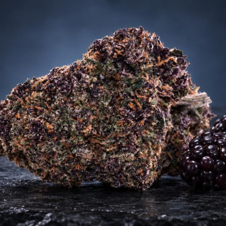 Haze purple: bloem Purple Haze in beeld gebracht