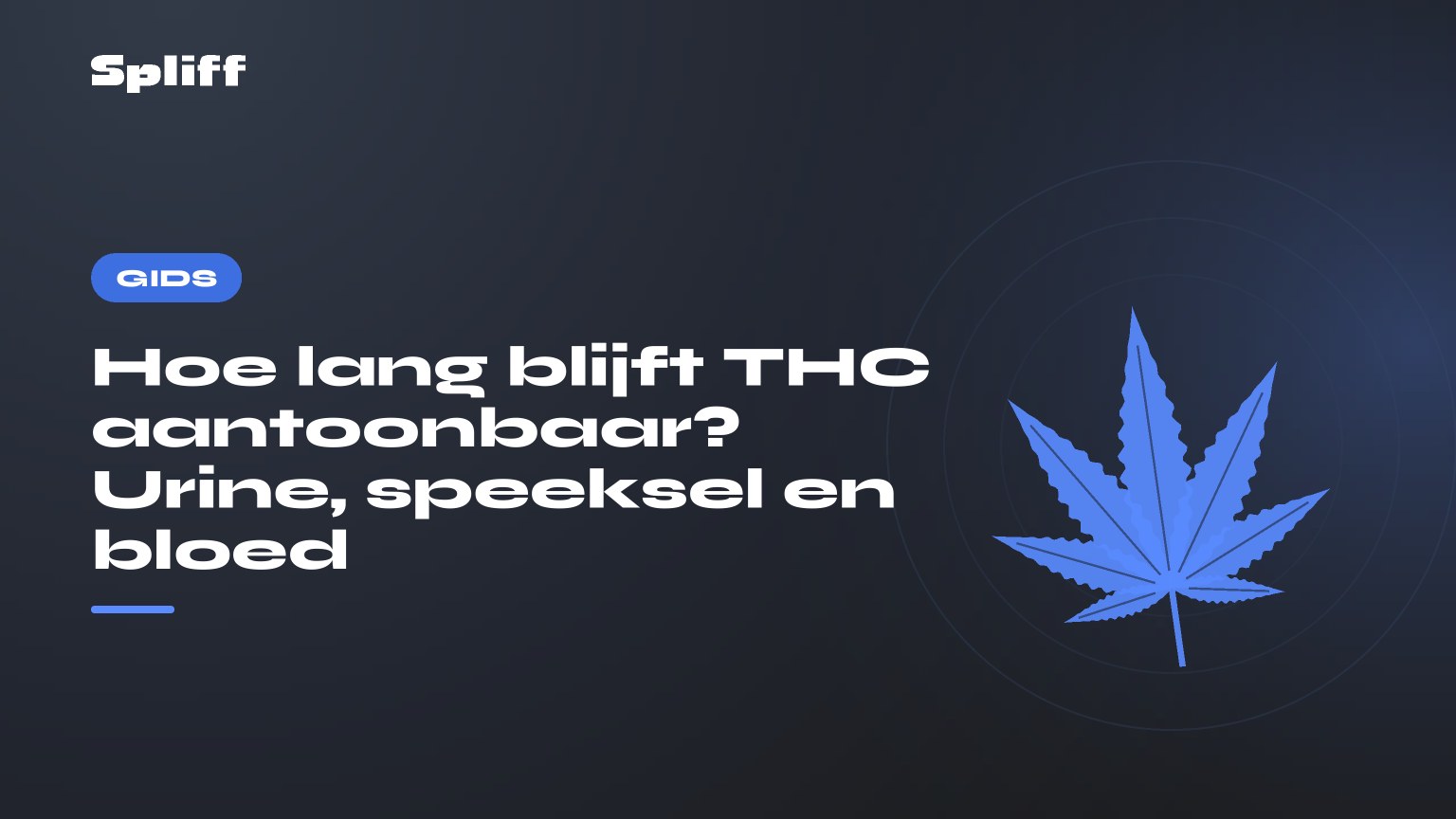 Hoe lang blijft THC aantoonbaar? Urine, speeksel en bloed — titel op donkere achtergrond, gestileerd hennepblad