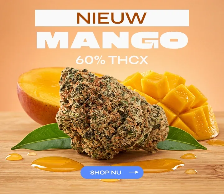 Mango THCX Spliff