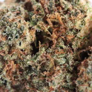 Plutonium CBD – macro van trichomen en stampers