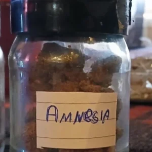Klantbeoordeling Amnesia met foto - Spliff