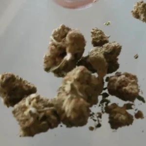 Klantbeoordeling Bubble Gum met foto - Spliff