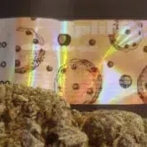 Klantbeoordeling Cookie OG met foto - Spliff