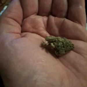 Klantbeoordeling Critical 2.0 met foto - Spliff