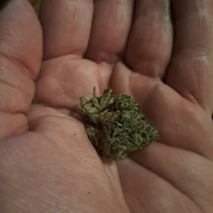 Klantbeoordeling Dream Berry met foto - Spliff