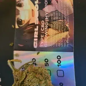 Klantbeoordeling Girl Scout Cookies met foto - Spliff