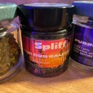 Klantbeoordeling Minibud Cali USA met foto - Spliff