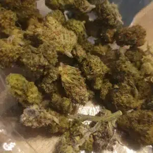 Klantbeoordeling Minibud Cali USA met foto - Spliff