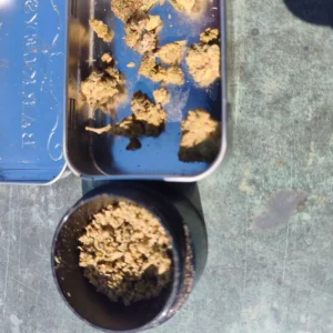 Klantbeoordeling Minibud Cali USA met foto - Spliff