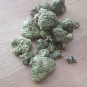 Klantbeoordeling Minibud Cali USA met foto - Spliff