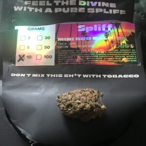 Klantbeoordeling Minibud Cali USA met foto - Spliff