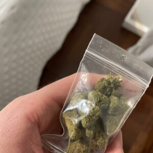 Klantbeoordeling Minibud Cali USA met foto - Spliff