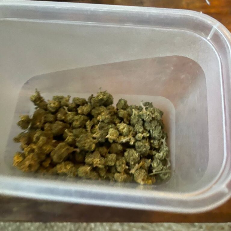 Klantbeoordeling Minibud Premium Superskunk met foto - Spliff