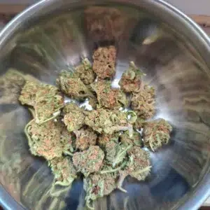 Klantbeoordeling Minibud Premium met foto - Spliff