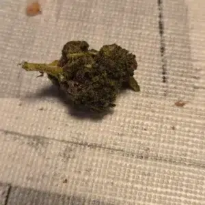 Klantbeoordeling Minibud Premium met foto - Spliff