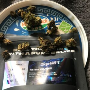 Klantbeoordeling Minibud Premium met foto - Spliff