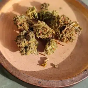Klantbeoordeling Minibud Premium met foto - Spliff