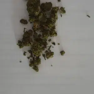 Klantbeoordeling Minibud Premium met foto - Spliff