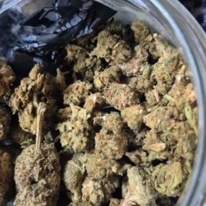 Klantbeoordeling Minibud Premium met foto - Spliff